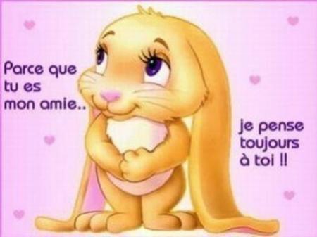 Lapin
