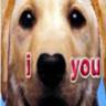 I love you