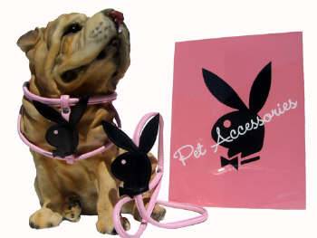 Playboy